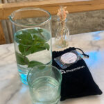 5808E744-54D3-472C-9195-920BCC77449C Elite Travel Kit